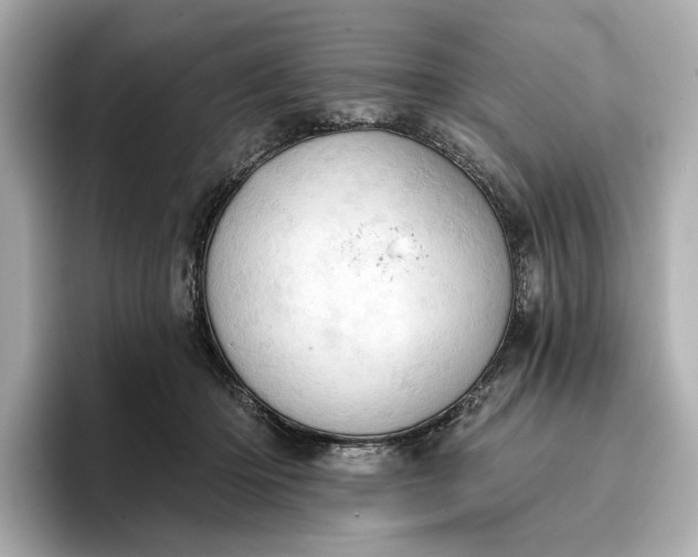 X0000096950414200802221326