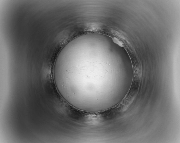 X0000096950415200802221326