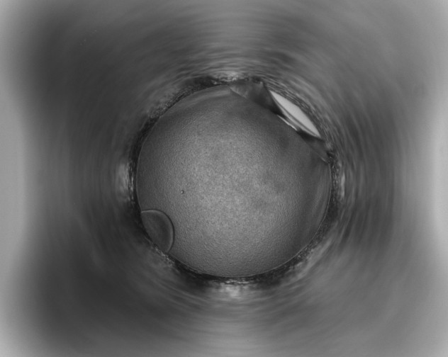 X0000096950420200802221326