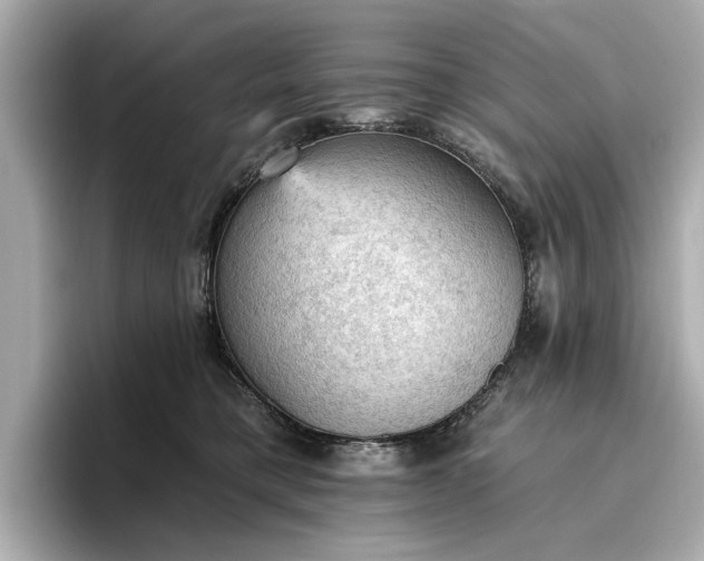 X0000096950421200802221326