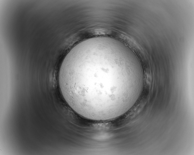 X0000096950422200802221326