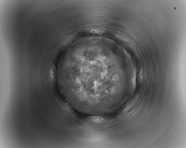 X0000096950424200802221326