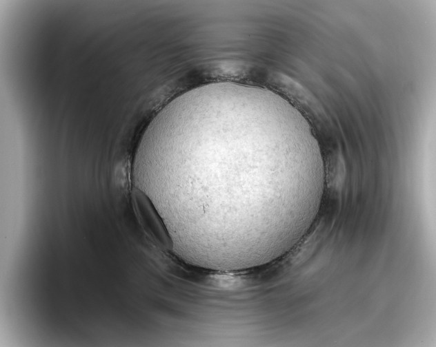 X0000096950425200802221326