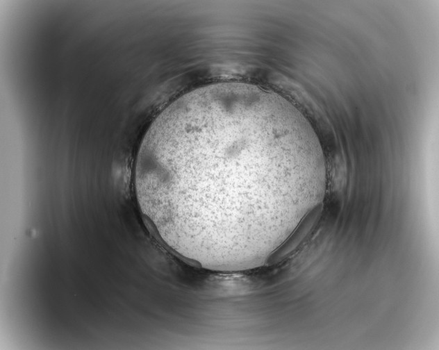 X0000096950427200802221326