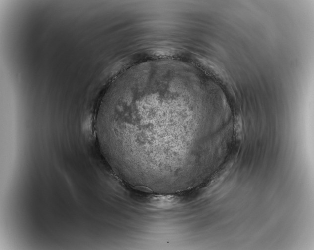 X0000096950428200802221326