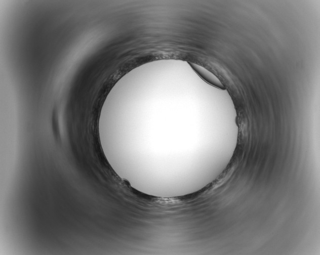 X0000096950429200802221326