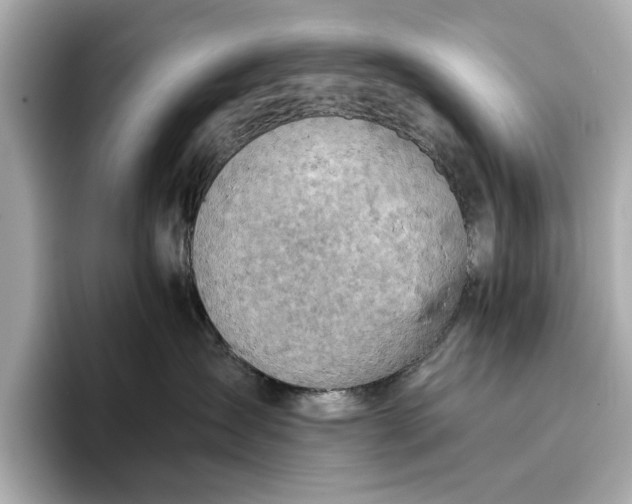 X0000096950431200802221326