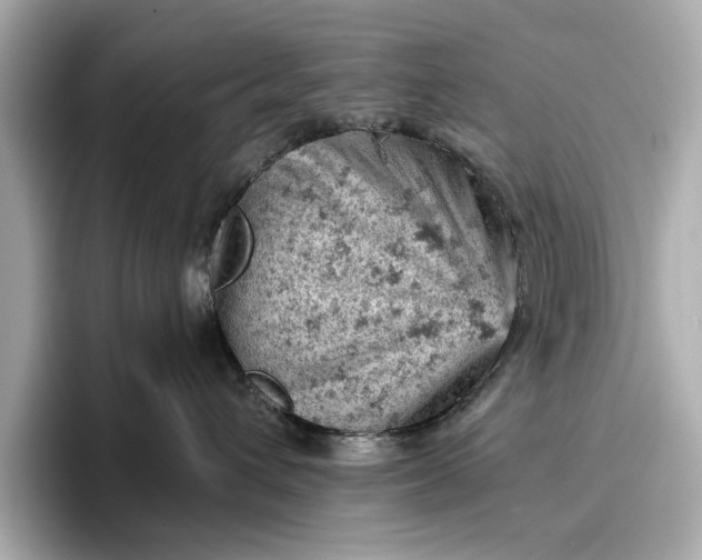 X0000096950432200802221326
