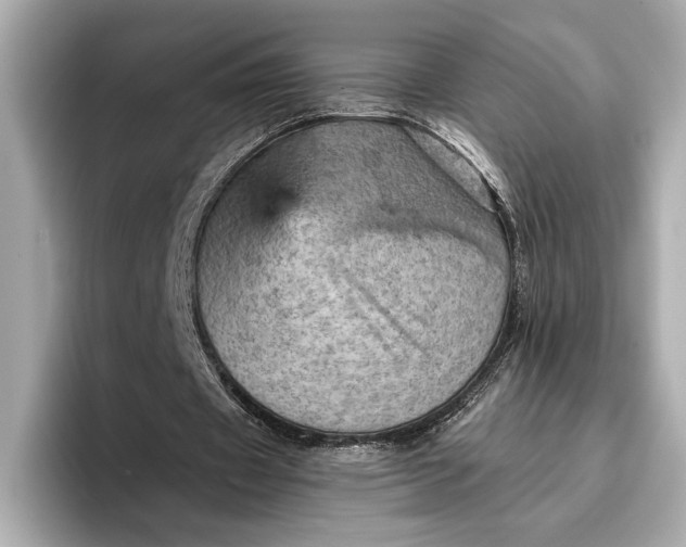 X0000096950433200802221325