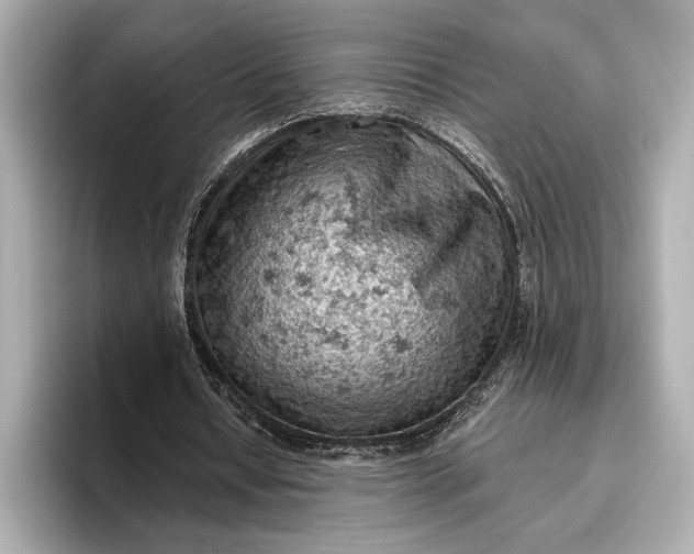 X0000096950434200802221325
