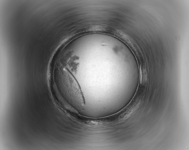 X0000096950435200802221325