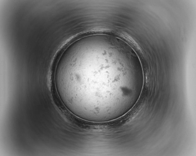 X0000096950436200802221325