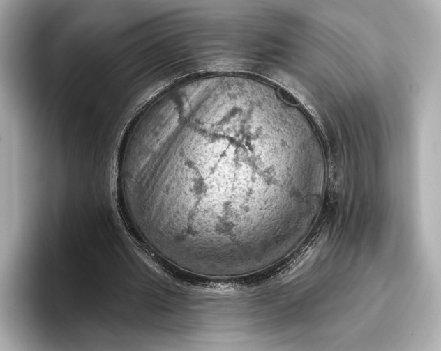 X0000096950437200802221325