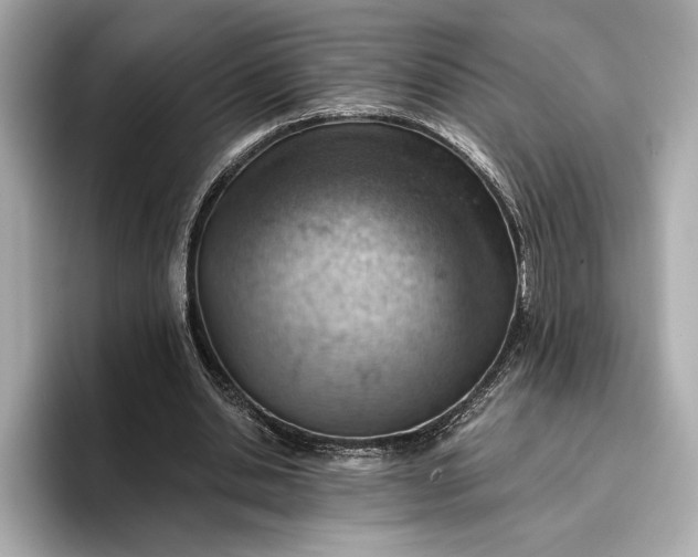 X0000096950438200802221325