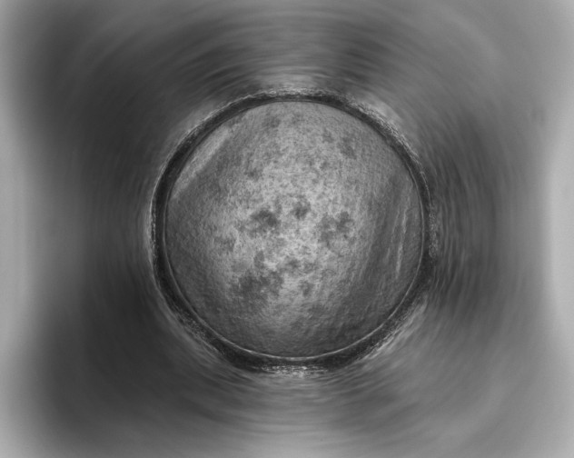 X0000096950439200802221325