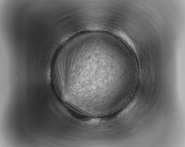 X0000096950441200802221325