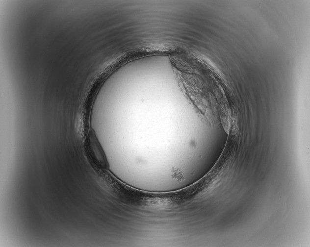 X0000096950444200802221325
