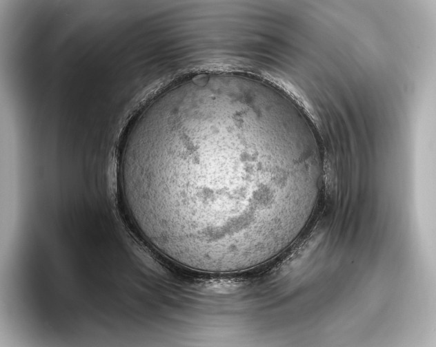 X0000096950445200802221325