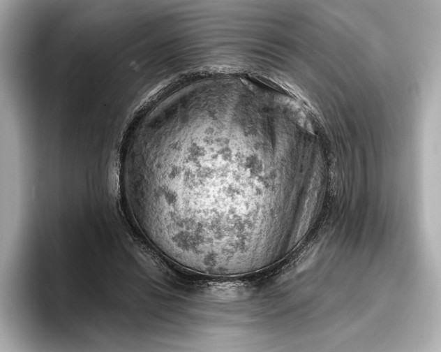 X0000096950446200802221325