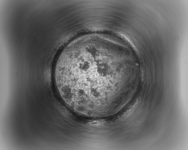 X0000096950447200802221325