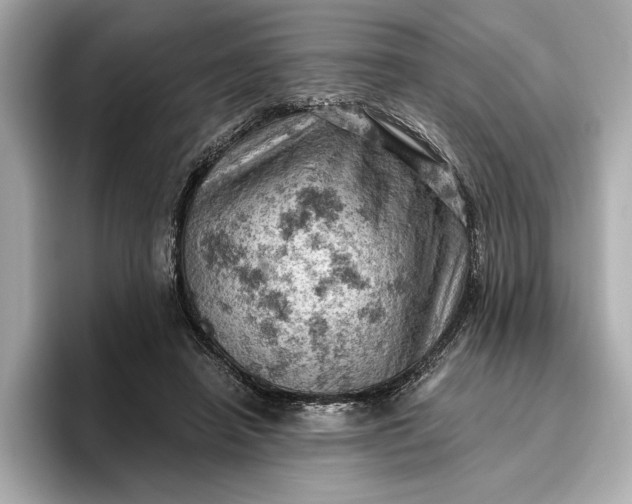 X0000096950450200802221325