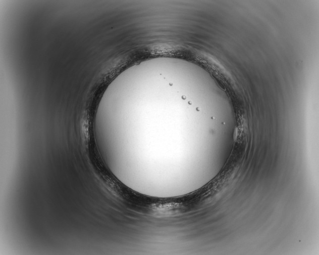 X0000096950452200802221325