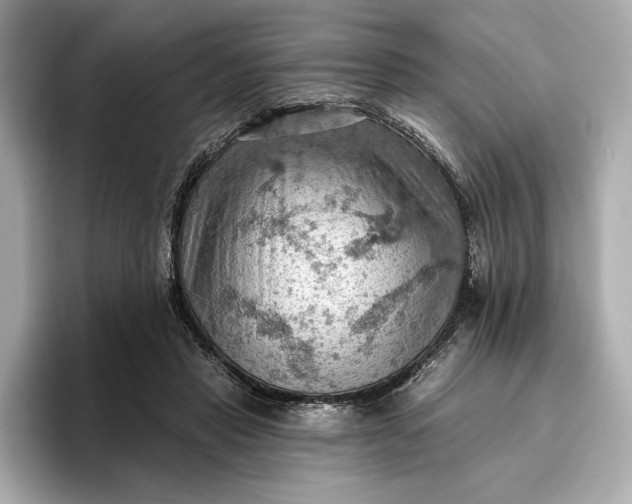 X0000096950453200802221325