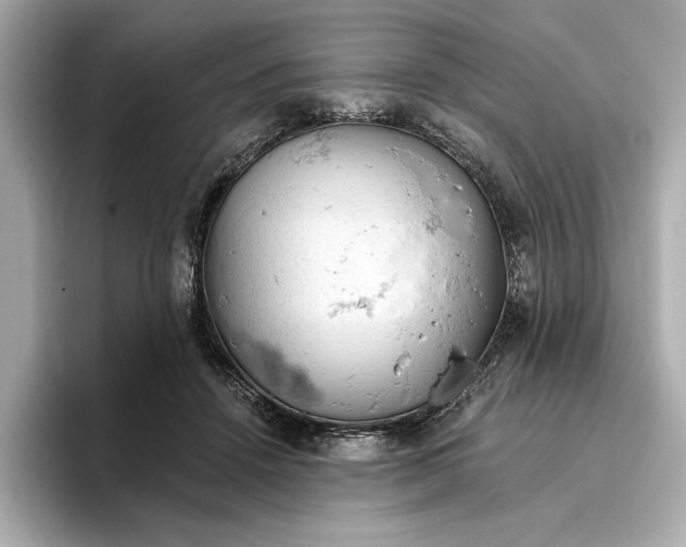 X0000096950456200802221325