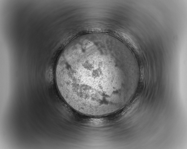 X0000096950457200802221325