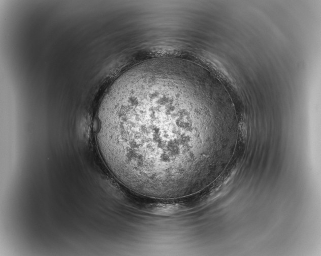 X0000096950458200802221325
