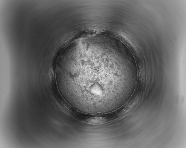 X0000096950459200802221325