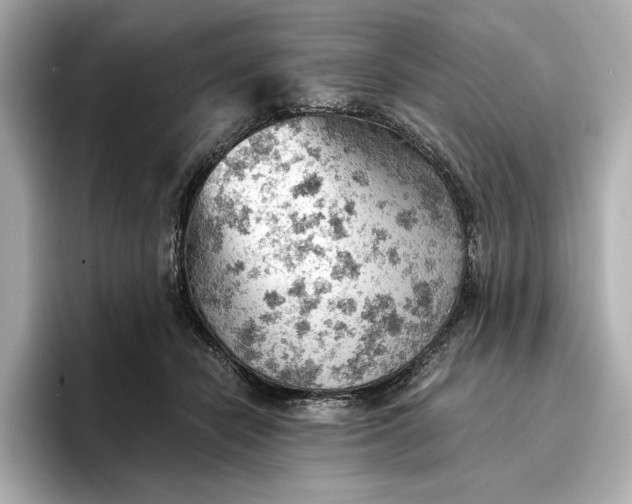 X0000096950462200802221325