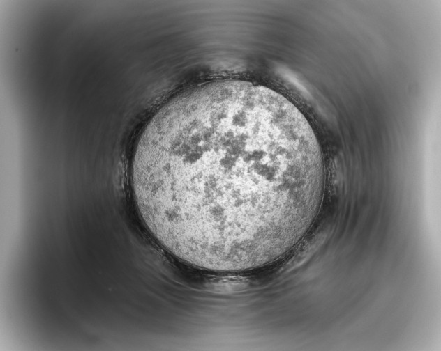 X0000096950463200802221325
