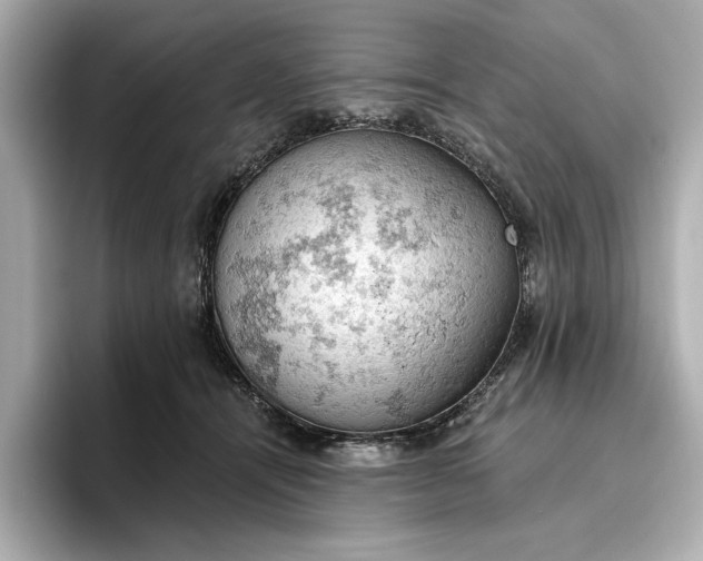 X0000096950464200802221325