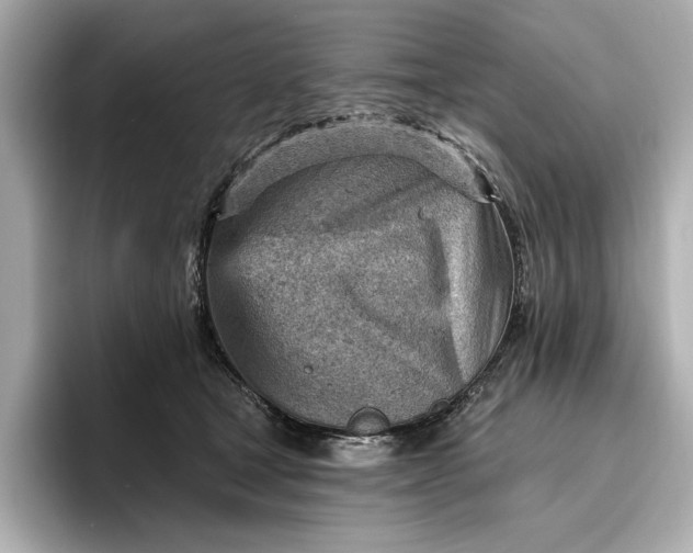 X0000096950465200802221325