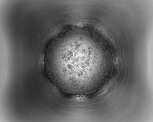 X0000096950466200802221326