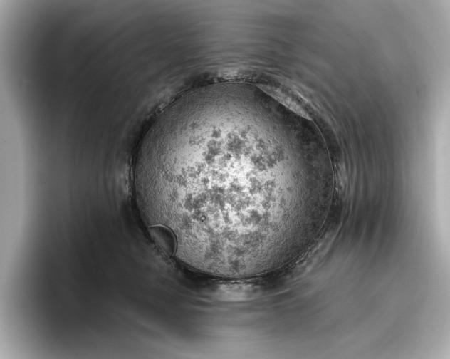 X0000096950470200802221326