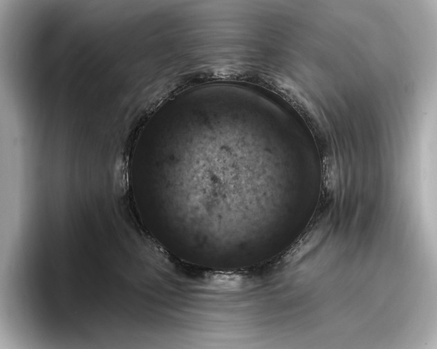 X0000096950471200802221326