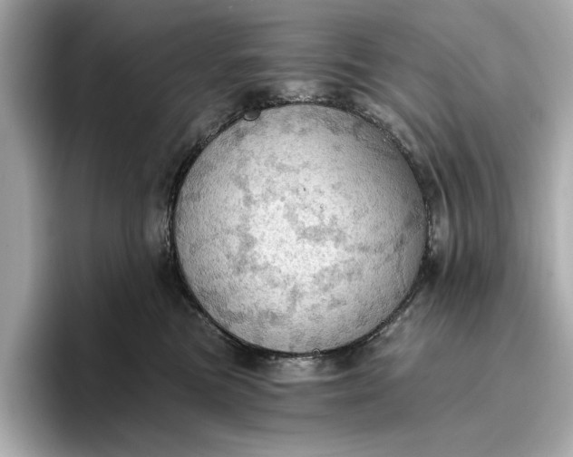 X0000096950473200802221326