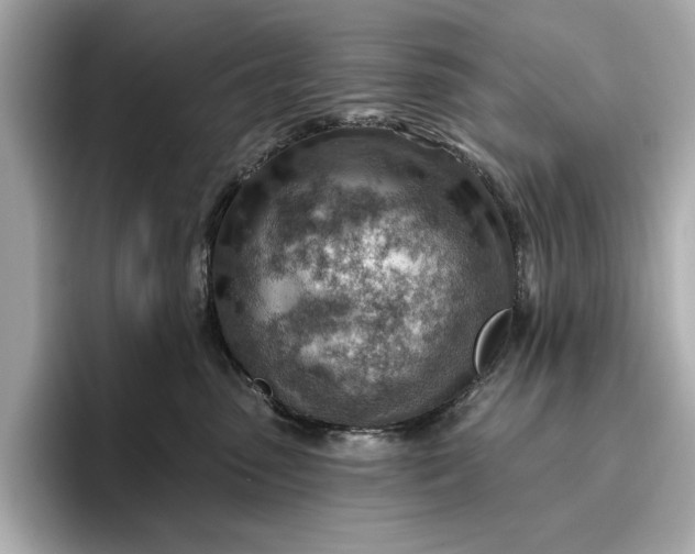 X0000096950475200802221326