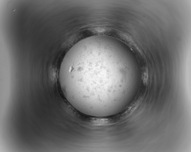 X0000096950476200802221326