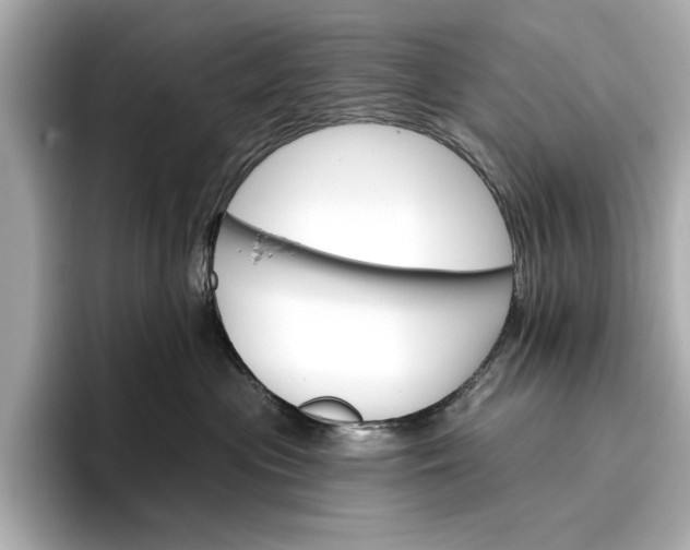 X0000096950477200802221326