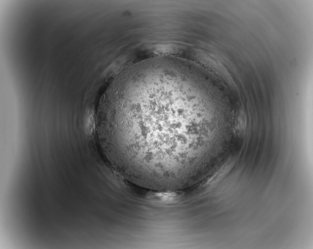 X0000096950478200802221326