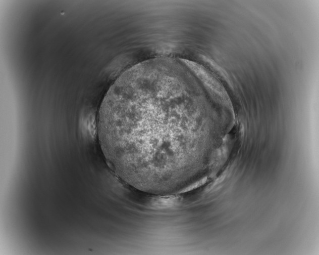 X0000096950479200802221326