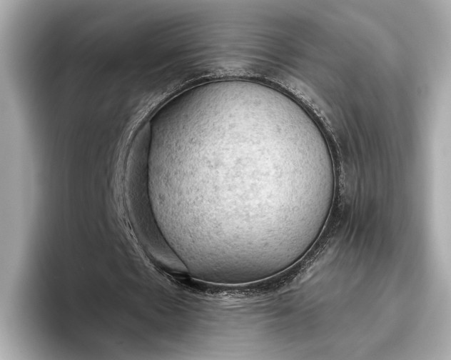 X0000096950481200802221325