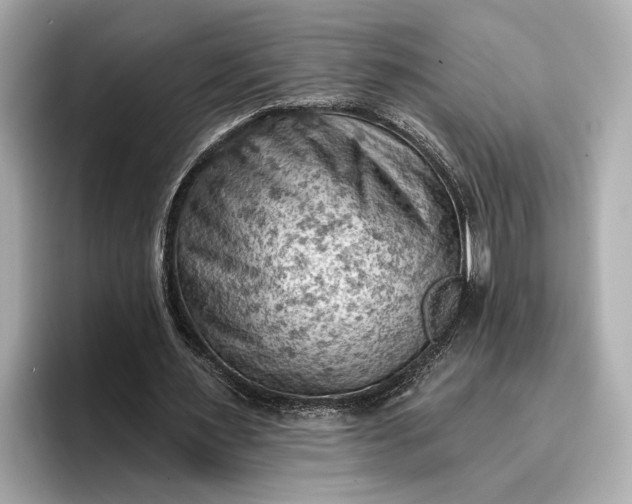 X0000096950483200802221325