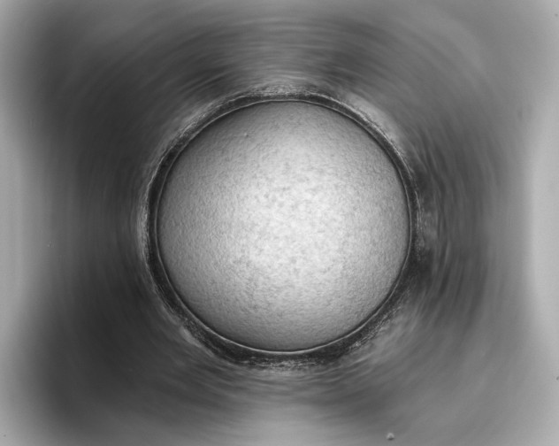 X0000096950485200802221325