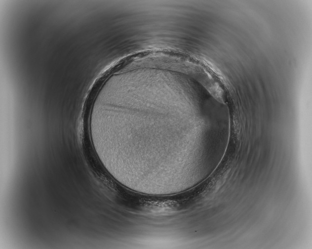 X0000096950488200802221325