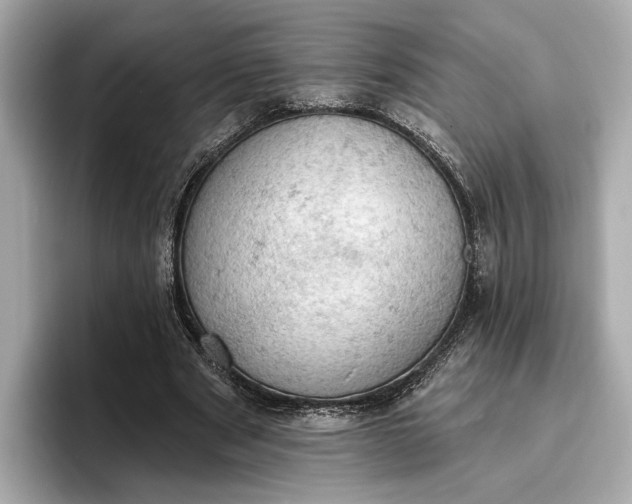X0000096950489200802221325
