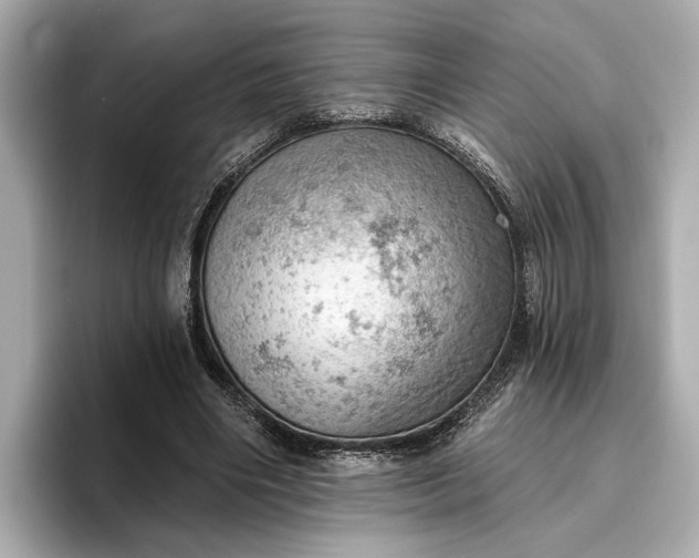 X0000096950490200802221325